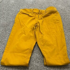 Loft Gold pants 24/00